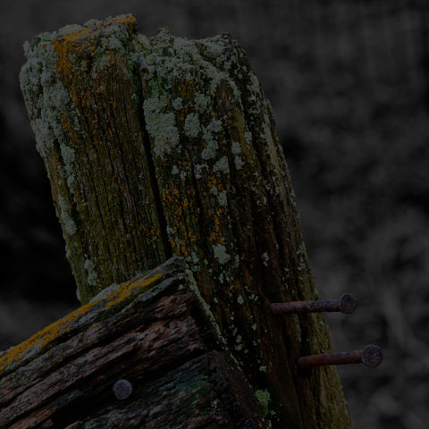 Fence Post