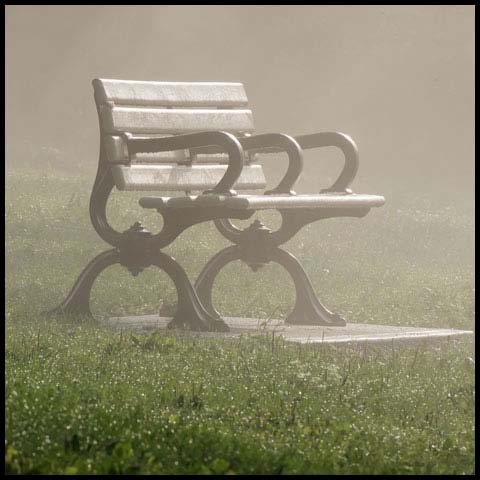 Lake Ontario Fog