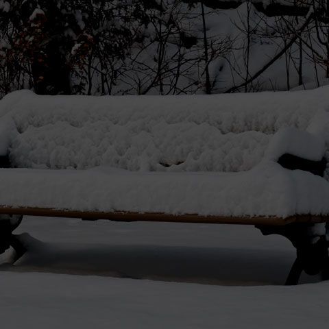 Park Bench